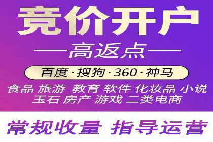 精准营销：百度推广平台的成功案例解析